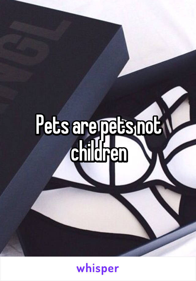 Pets are pets not children