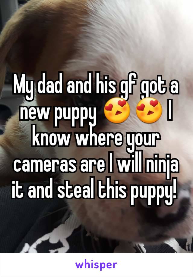 My dad and his gf got a new puppy 😍😍 I know where your cameras are I will ninja it and steal this puppy! 