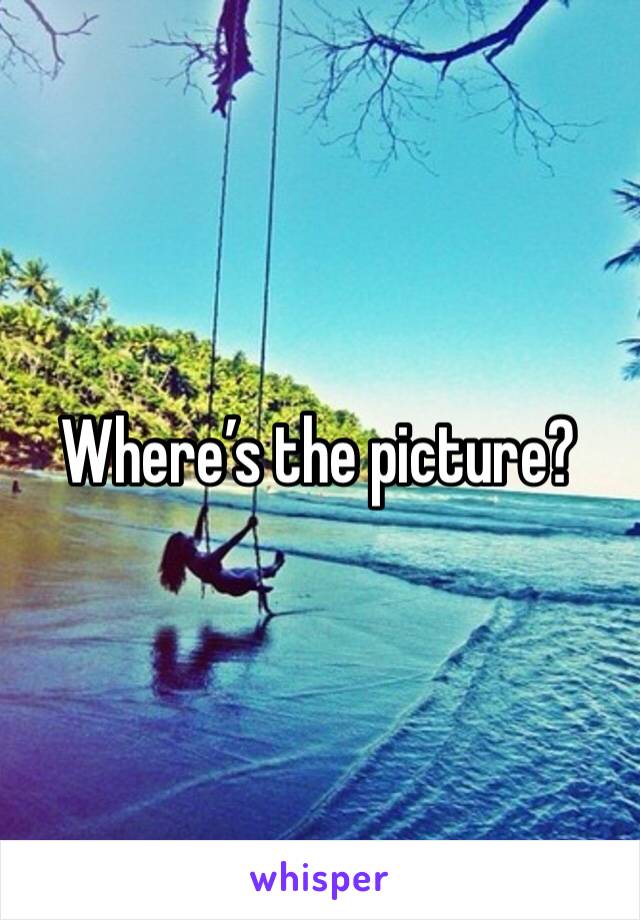 Where’s the picture?