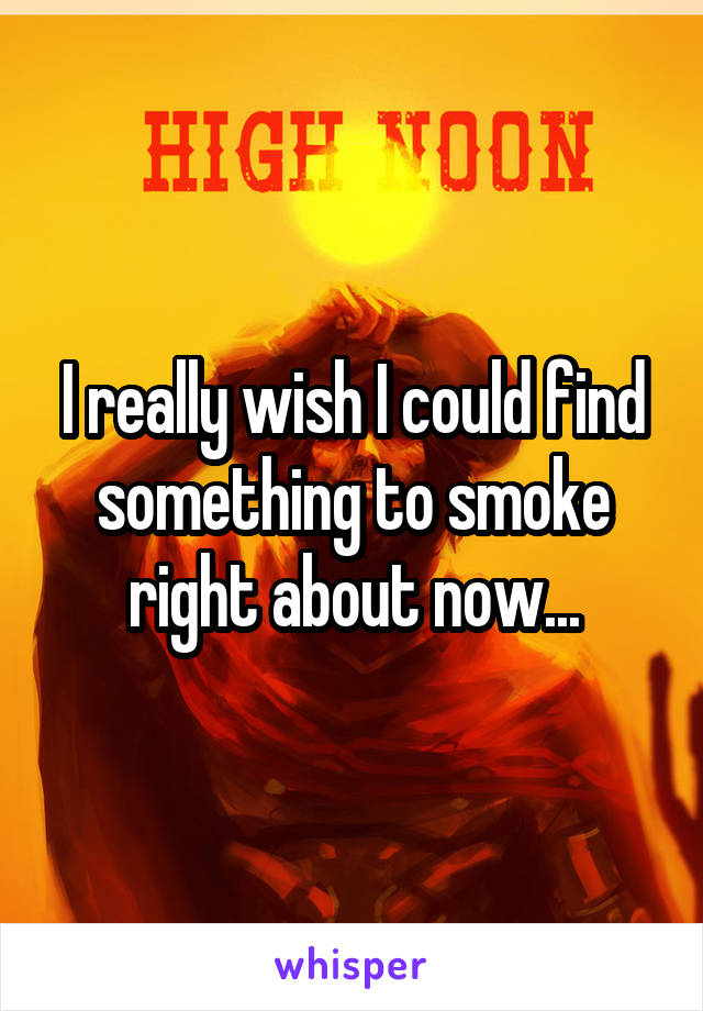 I really wish I could find something to smoke right about now...