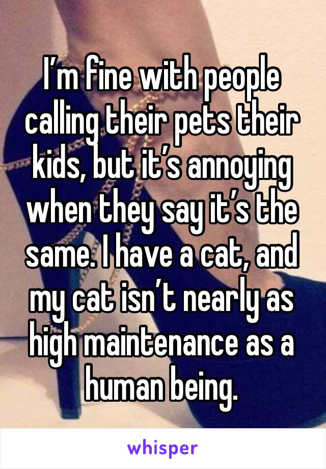 I’m fine with people calling their pets their kids, but it’s annoying when they say it’s the same. I have a cat, and my cat isn’t nearly as high maintenance as a human being.