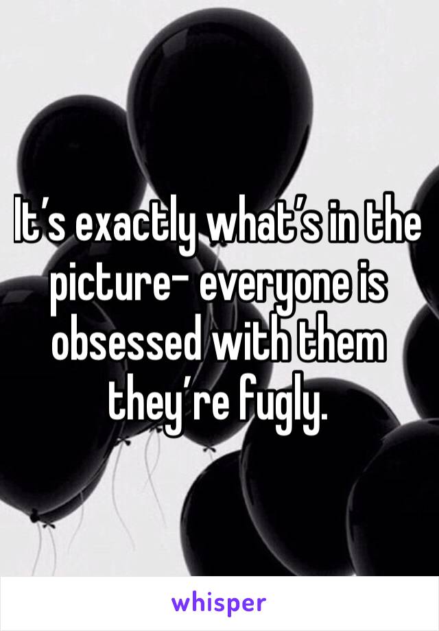 It’s exactly what’s in the picture- everyone is obsessed with them they’re fugly.