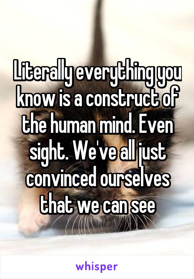 Literally everything you know is a construct of the human mind. Even sight. We've all just convinced ourselves that we can see