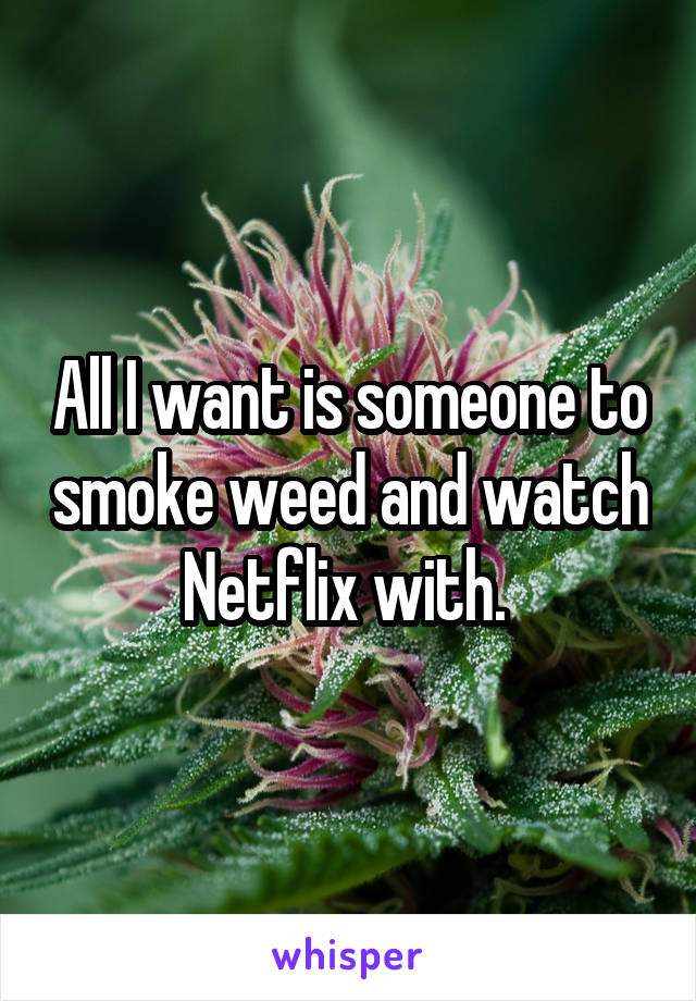 All I want is someone to smoke weed and watch Netflix with. 