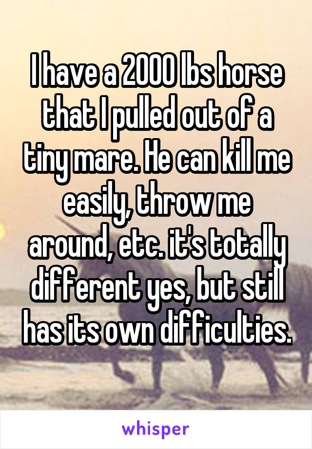 I have a 2000 lbs horse that I pulled out of a tiny mare. He can kill me easily, throw me around, etc. it's totally different yes, but still has its own difficulties. 