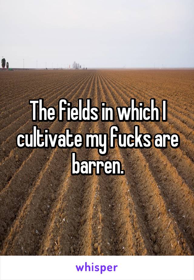 The fields in which I cultivate my fucks are barren.