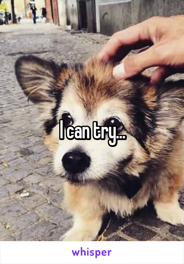 I can try...