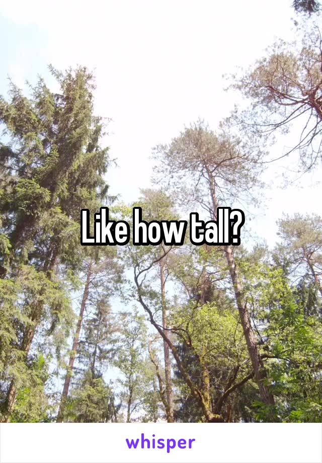 Like how tall?