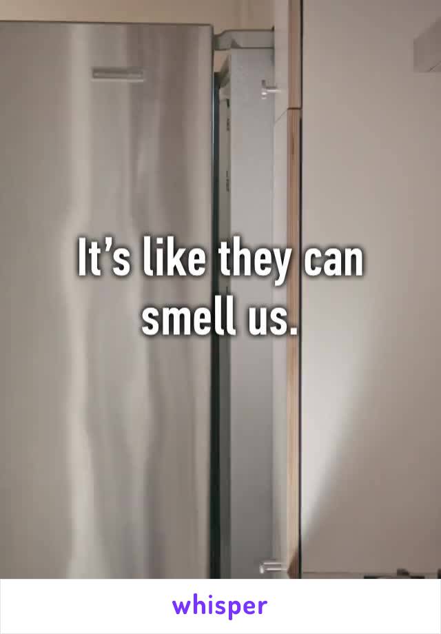 It’s like they can smell us. 
