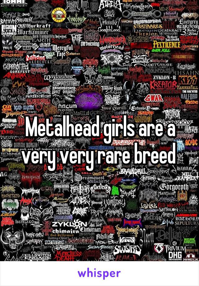 Metalhead girls are a very very rare breed 