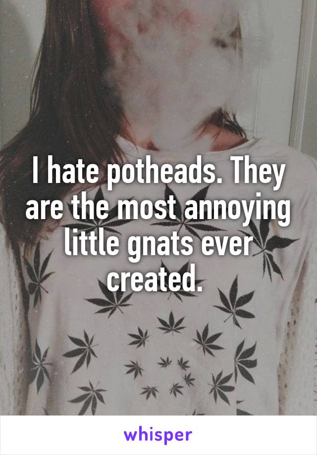 I hate potheads. They are the most annoying little gnats ever created. 