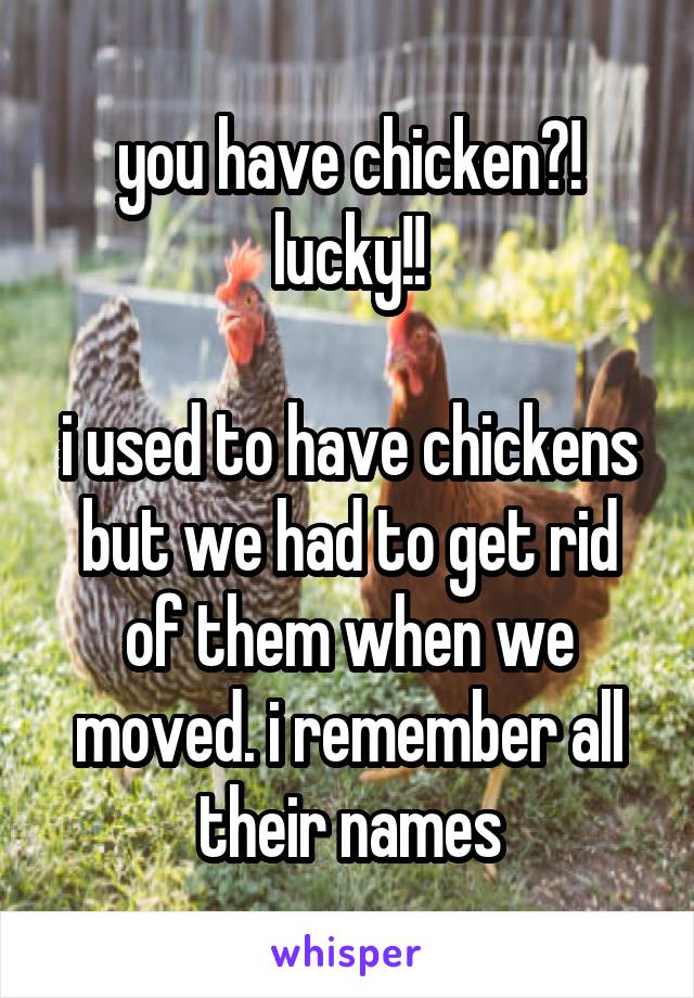 you have chicken?!
lucky!!

i used to have chickens but we had to get rid of them when we moved. i remember all their names