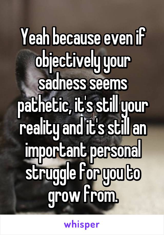 Yeah because even if objectively your sadness seems pathetic, it's still your reality and it's still an important personal struggle for you to grow from.