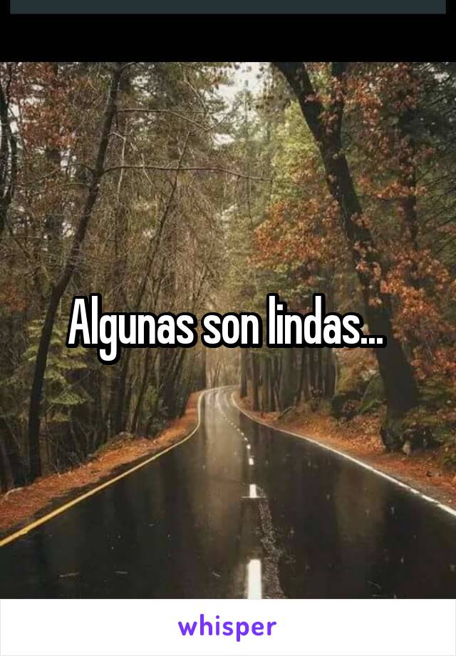 Algunas son lindas... 