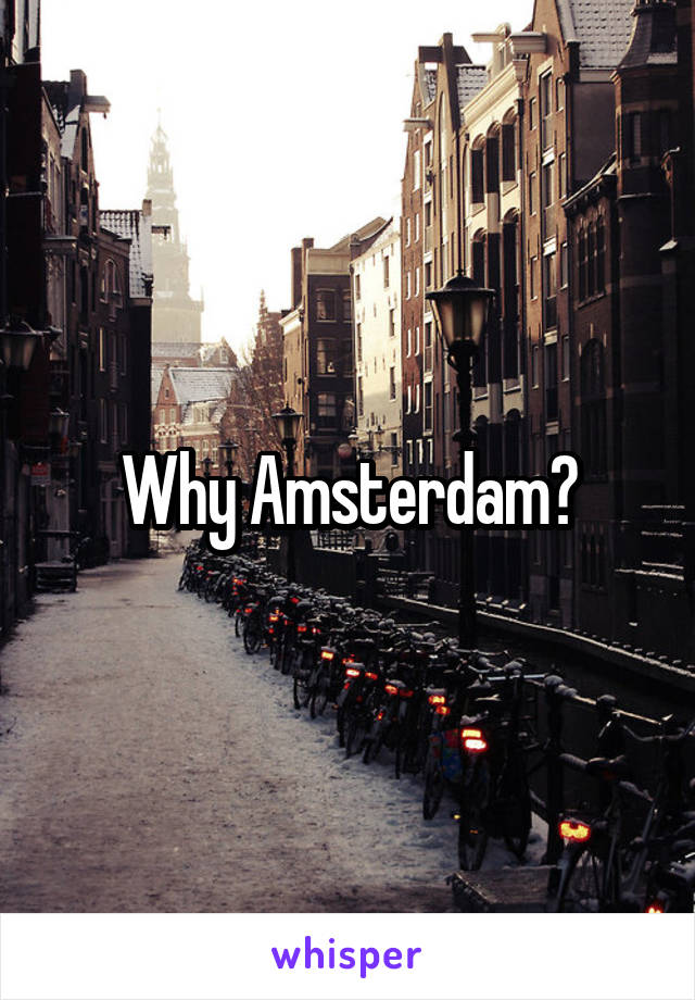 Why Amsterdam?