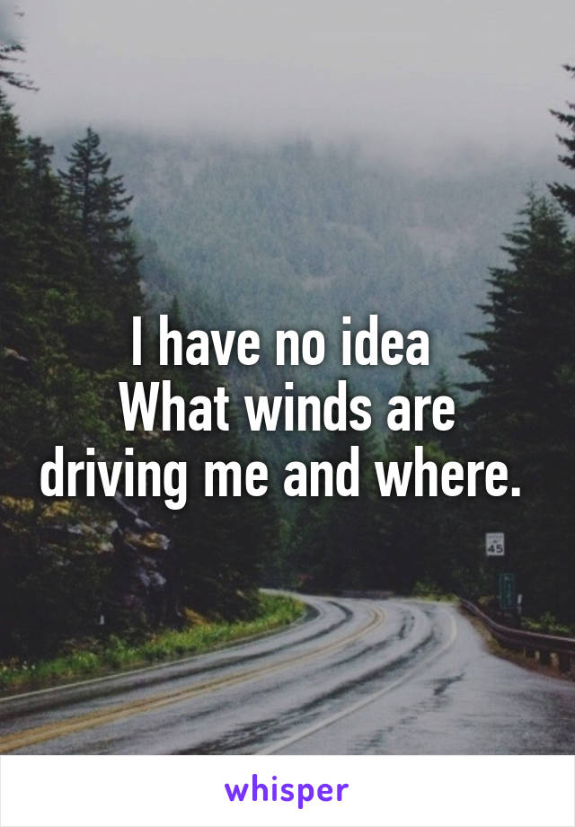 I have no idea 
What winds are driving me and where. 