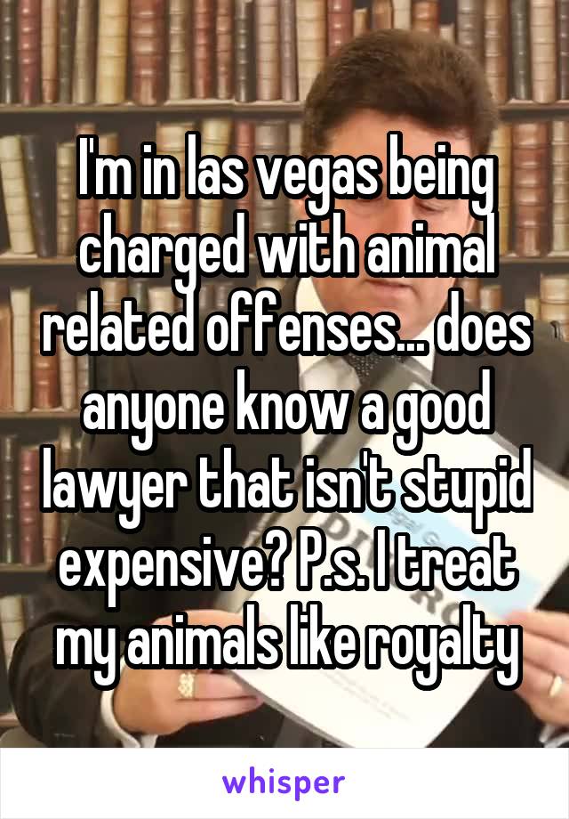 I'm in las vegas being charged with animal related offenses... does anyone know a good lawyer that isn't stupid expensive? P.s. I treat my animals like royalty