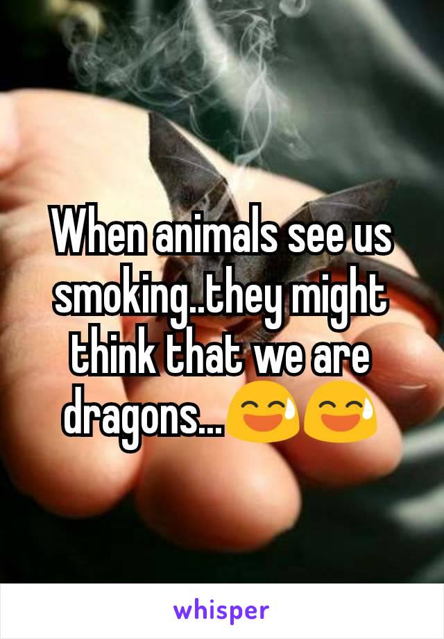 When animals see us smoking..they might think that we are dragons...😅😅