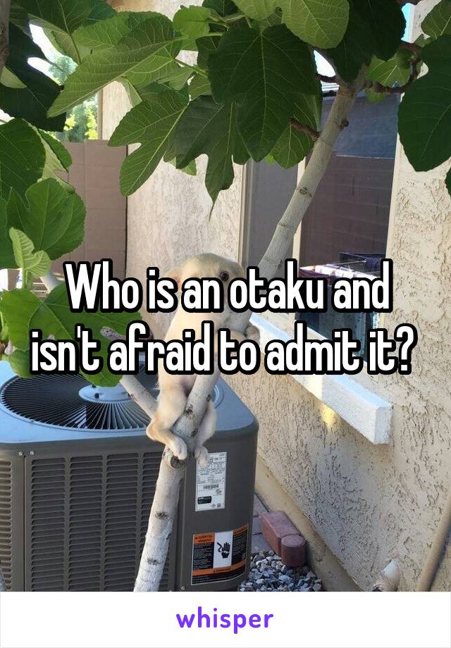 Who is an otaku and isn't afraid to admit it? 