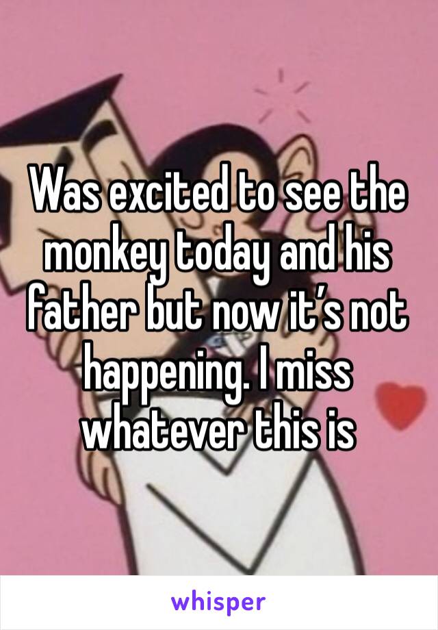 Was excited to see the monkey today and his father but now it’s not happening. I miss whatever this is 