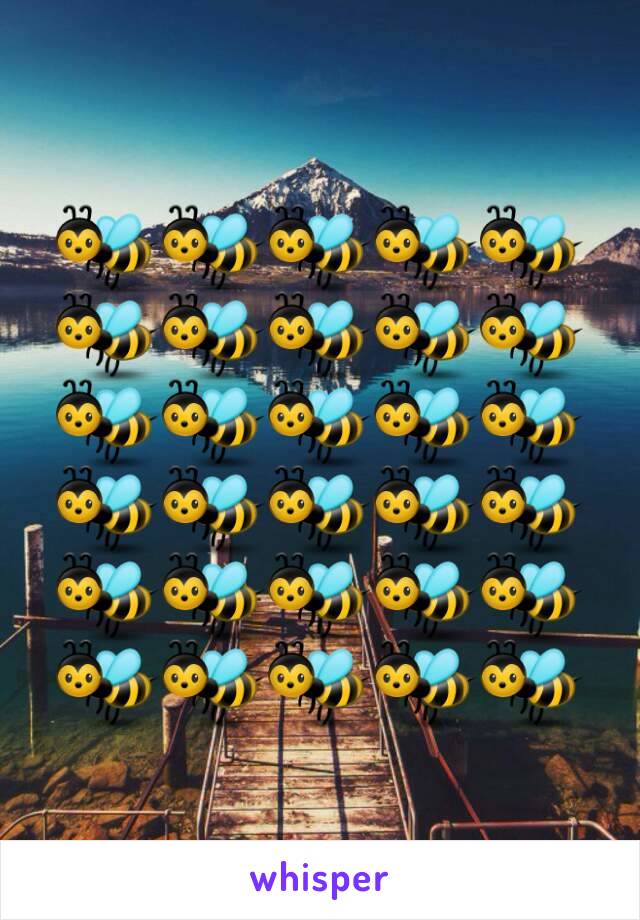 🐝🐝🐝🐝🐝🐝🐝🐝🐝🐝🐝🐝🐝🐝🐝🐝🐝🐝🐝🐝🐝🐝🐝🐝🐝🐝🐝🐝🐝🐝