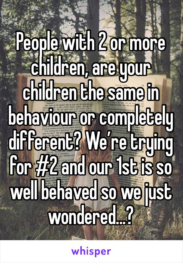 People with 2 or more children, are your children the same in behaviour or completely different? We’re trying for #2 and our 1st is so well behaved so we just wondered...? 