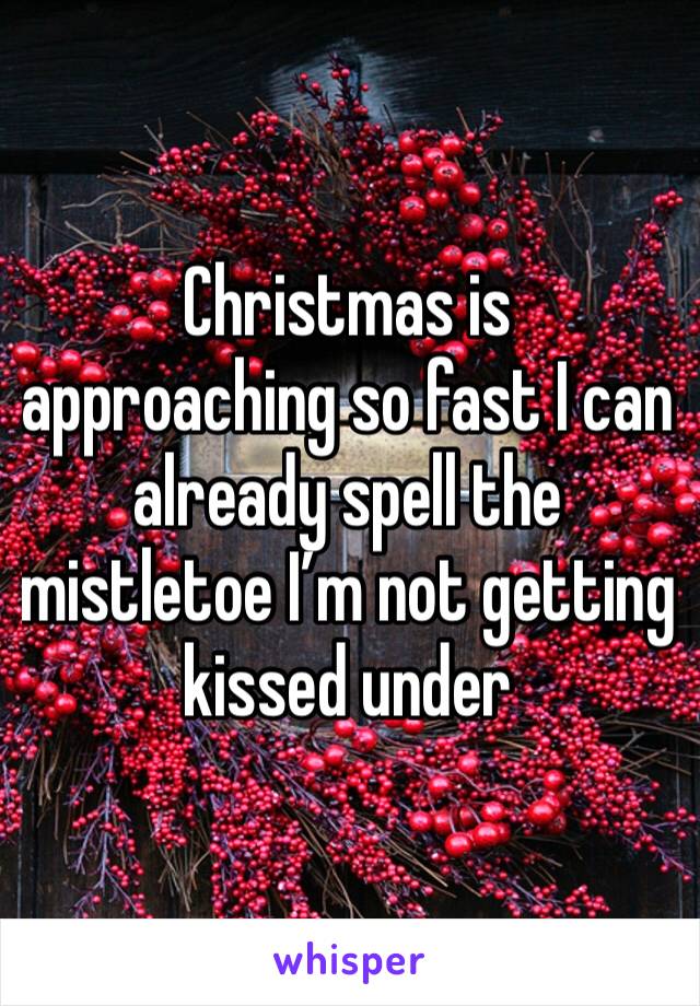 Christmas is approaching so fast I can already spell the mistletoe I’m not getting kissed under 