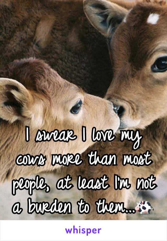 I swear I love my cows more than most people, at least I'm not a burden to them...🐄