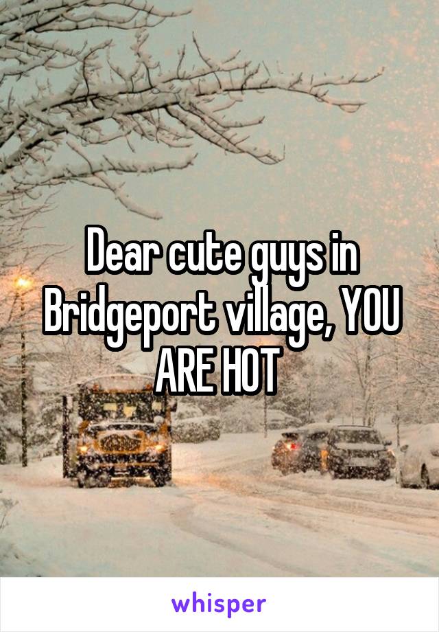 Dear cute guys in Bridgeport village, YOU ARE HOT 