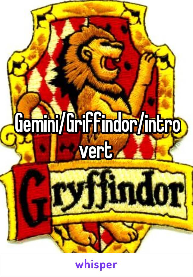 Gemini/Griffindor/introvert 