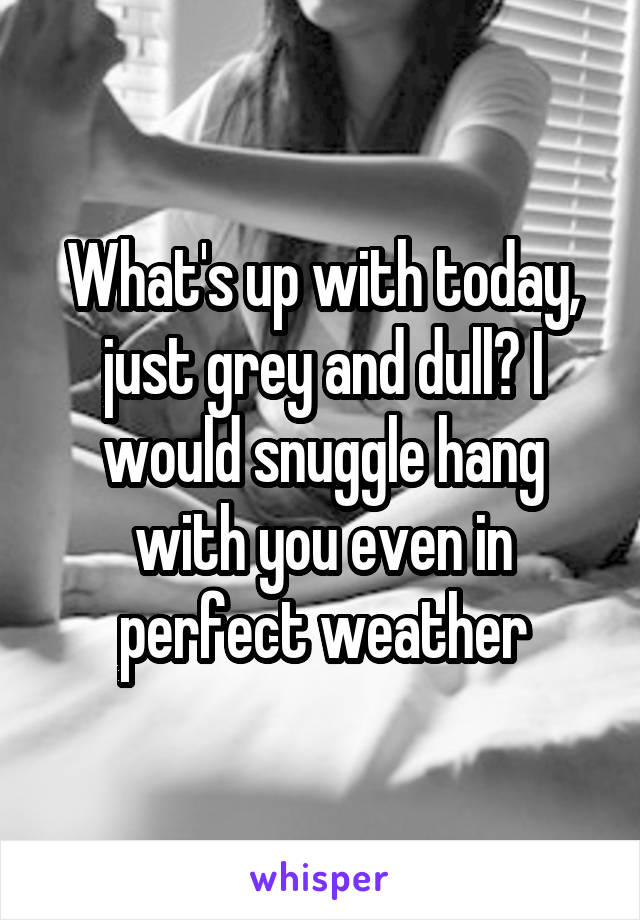 What's up with today, just grey and dull? I would snuggle hang with you even in perfect weather