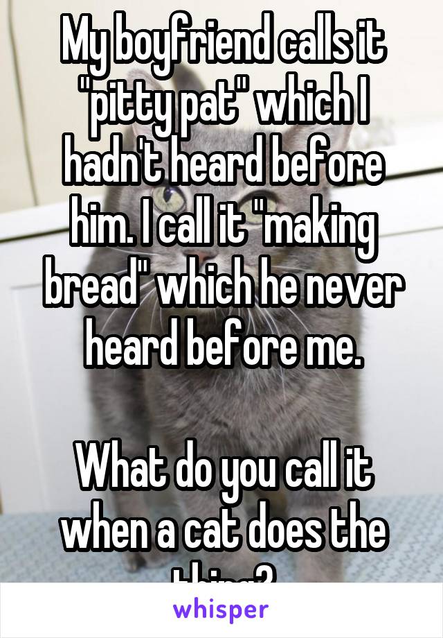 My boyfriend calls it "pitty pat" which I hadn't heard before him. I call it "making bread" which he never heard before me.

What do you call it when a cat does the thing?