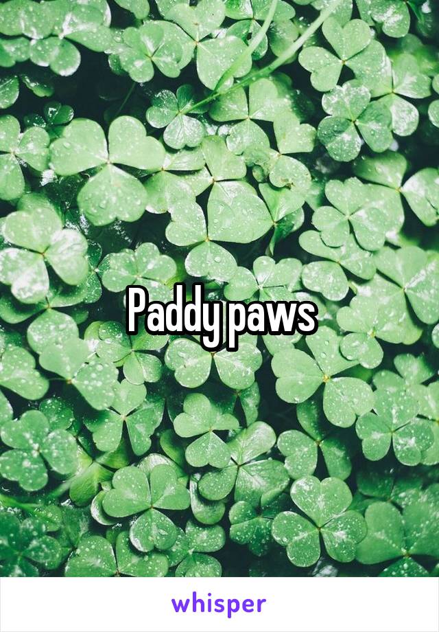 Paddy paws