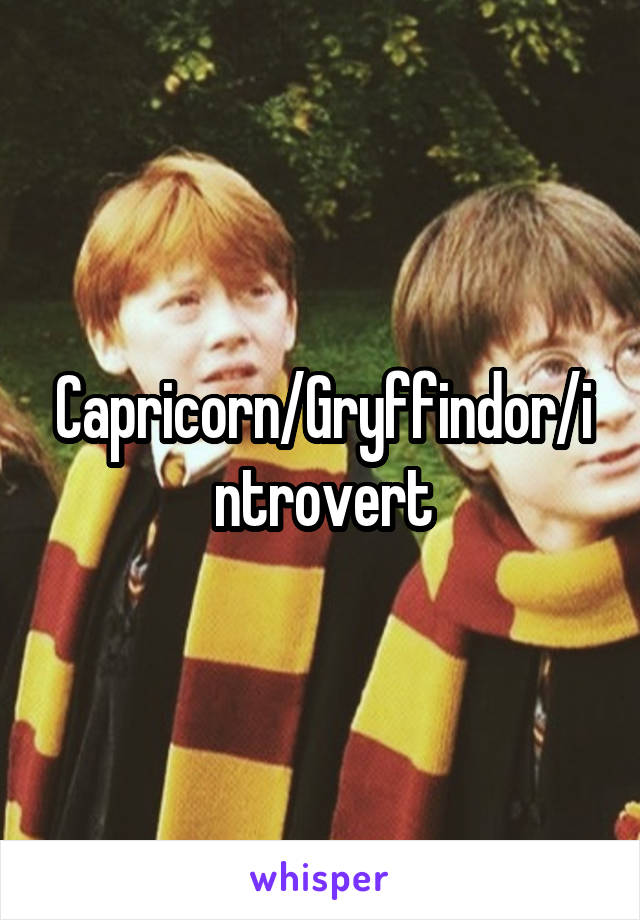 Capricorn/Gryffindor/introvert