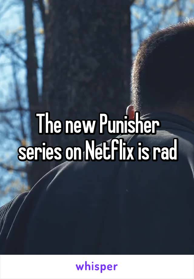 The new Punisher series on Netflix is rad