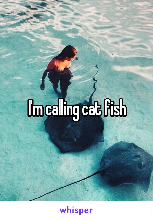 I'm calling cat fish