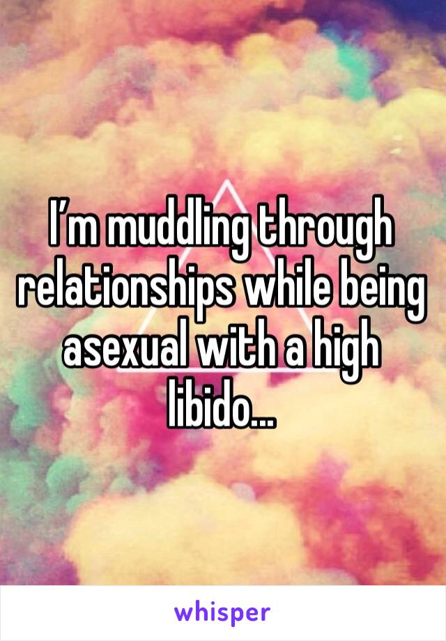 I’m muddling through relationships while being asexual with a high libido... 