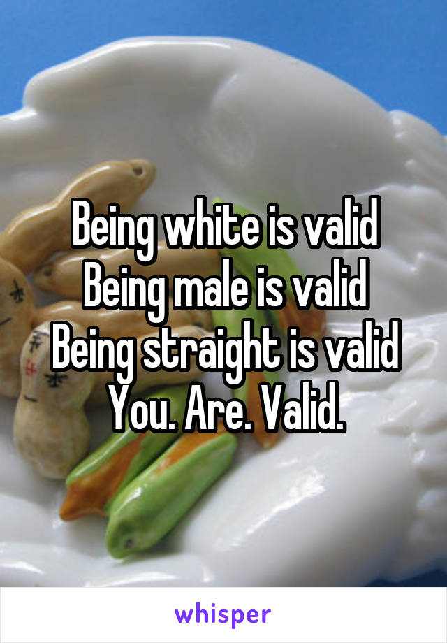 Being white is valid
Being male is valid
Being straight is valid
You. Are. Valid.