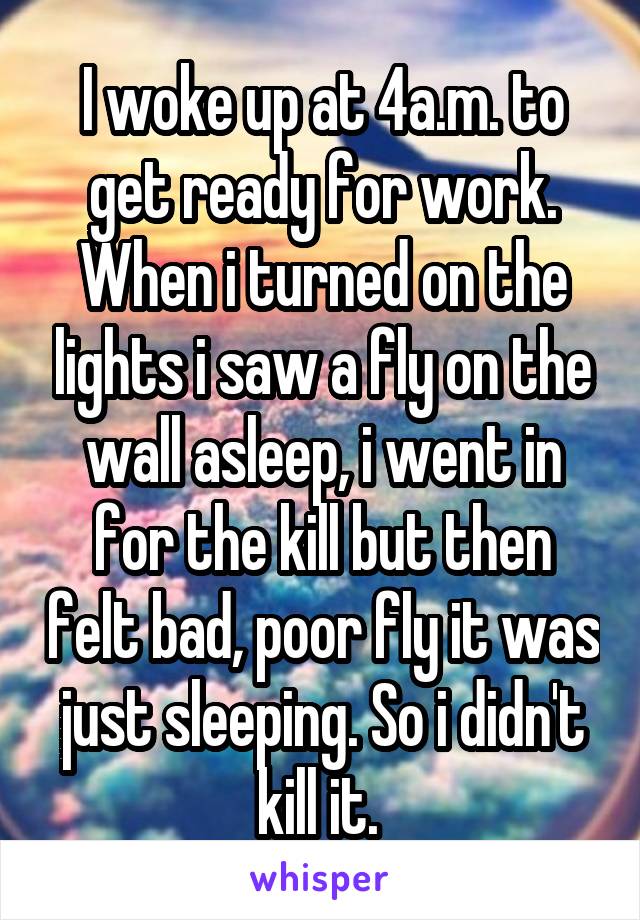 I woke up at 4a.m. to get ready for work. When i turned on the lights i saw a fly on the wall asleep, i went in for the kill but then felt bad, poor fly it was just sleeping. So i didn't kill it. 