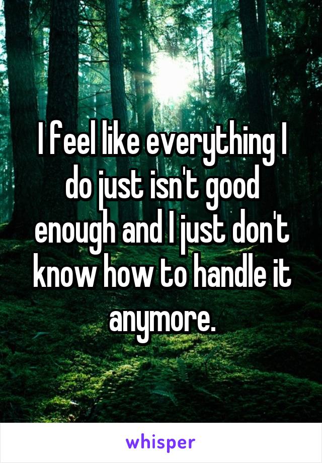 I feel like everything I do just isn't good enough and I just don't know how to handle it anymore.