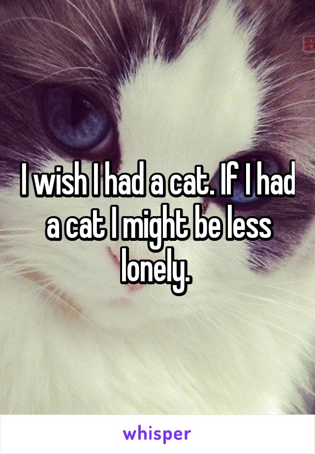 I wish I had a cat. If I had a cat I might be less lonely. 