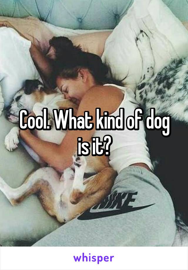 Cool. What kind of dog is it?