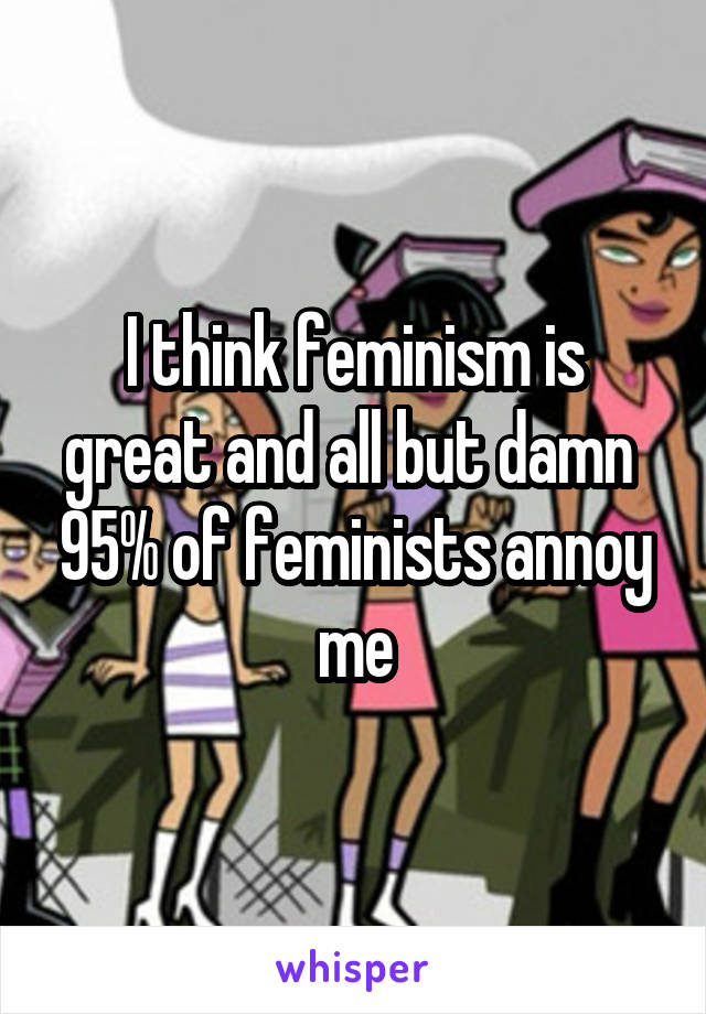 I think feminism is great and all but damn  95% of feminists annoy me