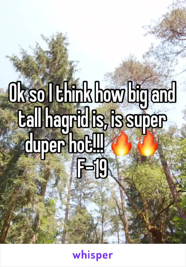 Ok so I think how big and tall hagrid is, is super duper hot!!! 🔥🔥
F-19