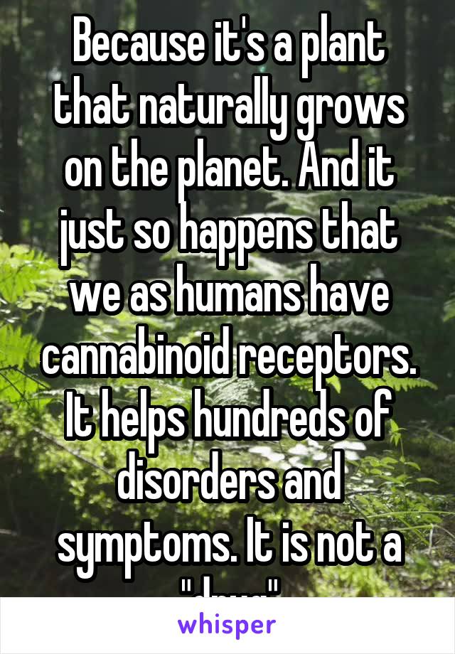 Because it's a plant that naturally grows on the planet. And it just so happens that we as humans have cannabinoid receptors. It helps hundreds of disorders and symptoms. It is not a "drug"