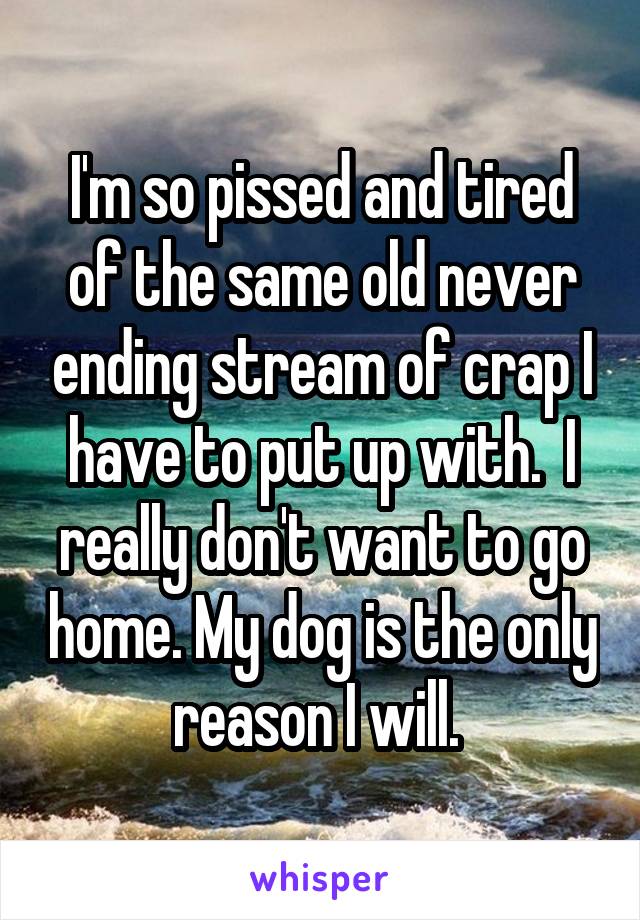 I'm so pissed and tired of the same old never ending stream of crap I have to put up with.  I really don't want to go home. My dog is the only reason I will. 
