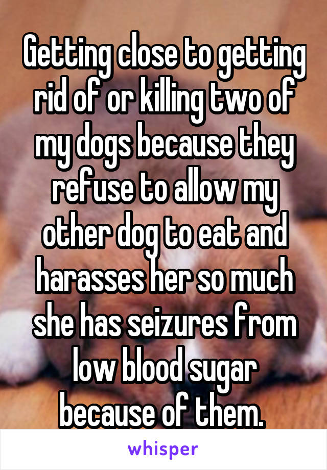 Getting close to getting rid of or killing two of my dogs because they refuse to allow my other dog to eat and harasses her so much she has seizures from low blood sugar because of them. 