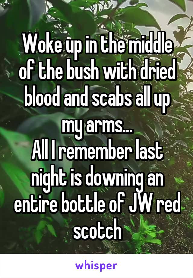 Woke up in the middle of the bush with dried blood and scabs all up my arms...
All I remember last night is downing an entire bottle of JW red scotch