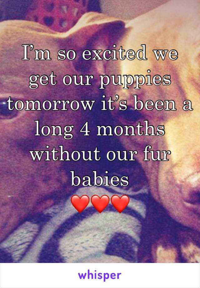 I’m so excited we get our puppies tomorrow it’s been a long 4 months without our fur babies 
❤️❤️❤️