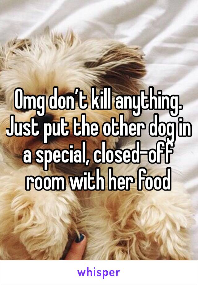 Omg don’t kill anything. 
Just put the other dog in a special, closed-off room with her food